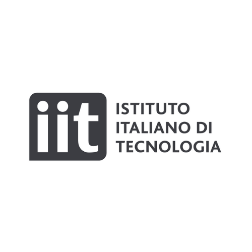 IIT